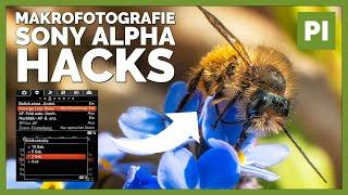 2 Sony Alpha Hacks für Makrofotos mit Blitz