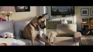 Marmaduke - In Theaters June 4  Official Trailer HD   20th Century FOX