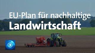 Pläne der EU-Kommission für eine nachhaltige Landwirtschaft