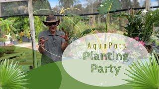 Tropical Container Planting - Tag along for this fun planting party