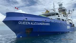 ️TUNA FISHING VESSEL ️FV QUEEN ALEXANDRA 959  PURSE SEINE  KAPAL JARING BESAR 