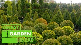 World of Topiary  GARDEN  Great Home Ideas