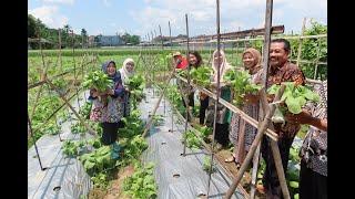 Galakkan Kebun Pangan