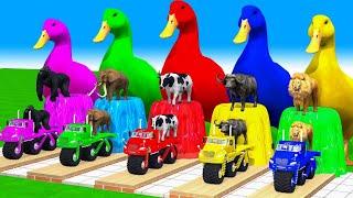 4 Giant Duck CartoonLionCowRabbitGorillaElephantDogCat Wild Animals Crossing Fountain 2023 g