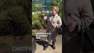 Всегда проверяйте это при покупке хвойных  Садовый гид Лариса Зарубина