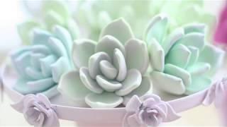 How to make a succulent for beginners