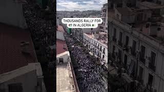 Algeria Protests For Palestine  MUSLIM
