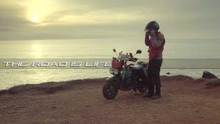 The Road is Life  Honda Ruckus  eGarage