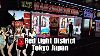Nightlife Tokyo Japan Red Light District Shinjuku Kabukicho 4K