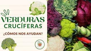 LAS VERDURAS CRUCÍFERAS Los Glucosinolatos y su lucha contra el Cáncer