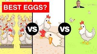  The Shocking Truth Between Free Range Cage Free and Pasture Raised Eggs? - by Dr Sam Robbins