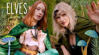 Two Elves find YOU in the woods ASMR  Nature sounds
