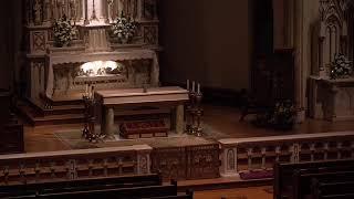 Daily 7 AM Mass from St. Patricks Church Columbus OH September 9 2024