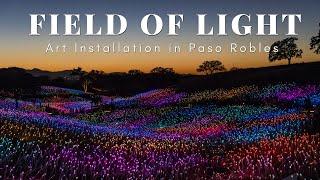 Sensorio Field of Light Art Installation with over 50000 Lights in Paso Robles