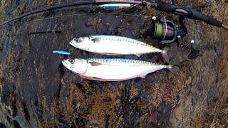 Shore Fishing - Jigging Jigs for Mackerel - Sink and Draw - Beginners Guide