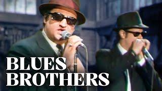 Die Blues Brothers  Ihre Größten Auftritte
