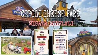 Wisata baru di Boyolali CEPOGO CHEESE PARK  CIMORY DAIRY LAND 2023