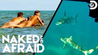 Swimming Naked with Sharks  Naked and Afraid