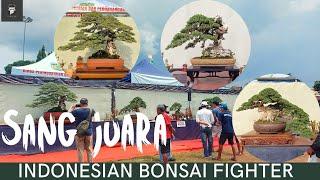 BONSAI TERBAIK DALAM PAMNAS JEPARA 2022  INDONESIAN BONSAI FIGHTER IBF 2022