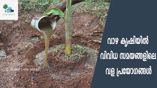 വാഴ കൃഷിയിലെ വിവിധ സമയത്തെ വളപ്രയോഗങ്ങള്‍  Vazha Krishi  Glory Farm House