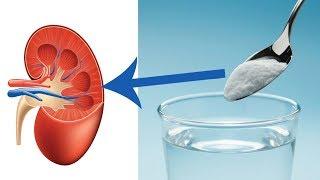 So kannst du deine Nieren auf natürliche Weise regenerieren
