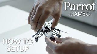 Parrot Minidrones - MAMBO - Tutorial #1 Setup