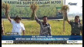 Bersama Moeldoko Menteri Pertanian Panen Padi di Karawang