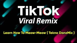 DjDanz Remix - Learn How To Meow Meow  Tekno Remix  TikTok Inspired Remix