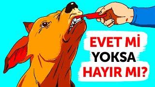 Köpeğinize Bu 30 Şeyi Yapıyorsanız Hemen Durun