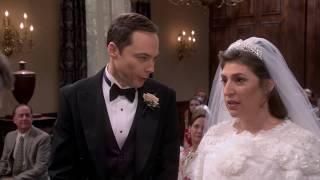 The Big Bang Theory  Luke Skywalker  Mark Hamill S11E24