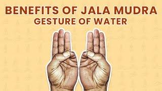 Heres What You Need To Know About Jala Mudra  Varuna Mudra  Your Spiritual Revolution