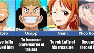 Why the Straw Hats Joined the Crew