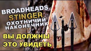 Broadheads Stinger Наконечник для охоты