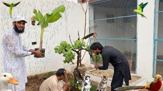 Mini Zoo Main Ye Kia Ho Rha Hai   Barish