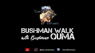 Bushman Walk Highlight Video  DINAKA CAMP Central Kalahari