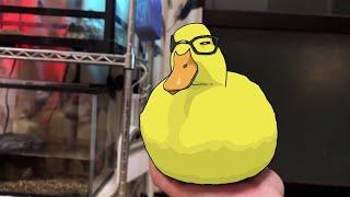 Ducky D00m Boss Fight  Roblox Tds Animation