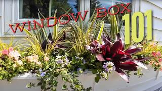 Window box rules to know + planting a new one