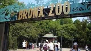 Top 10 Best Zoos In The World