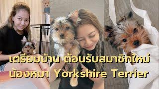 EP.1 เตรียมบ้าน ต้อนรับสมาชิกใหม่ น้องหมา Yorkshire Terrier อายุ 3 เดือน