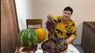 Узбекистан Поехали на сбор винограда ризамат обедали в Корейском кафе занимаемся зарядкой