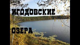Игодовские озера. Озеро Рыболовское Русиловское Половчиновское.