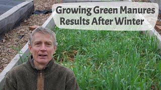 Growing Green Manures - Part 4 The Results Of Growing Five Types At The End Of Winter