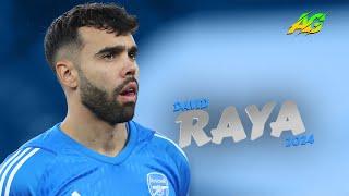 David Raya 2024 ● Crazy & Best Saves   FHD