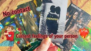 No contact Current Feeling of your person Hindi tarot card reading  Love tarot