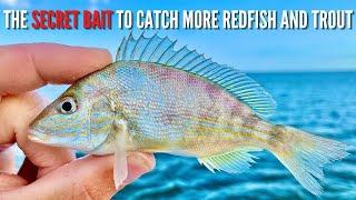 The Secret Bait To Catch BIG Redfish & Speckled Trout