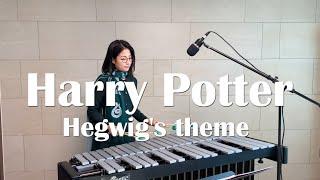 Harry Potter - Hegwids theme  Vibraphone cover