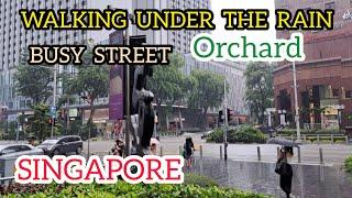 WALKING AT BUSY STREET IN SINGAPORE ? ORCHARD ROAD  #trending #travel #travelvlog #singapore