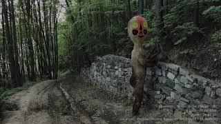 Нечто в нижегородском лесу SCP-173 in real life