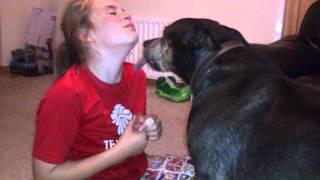 Dog loves kisses