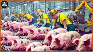 How Farmers Transport And Process Ham From Millions Of Pigs - Pig Farm  Processing Factory